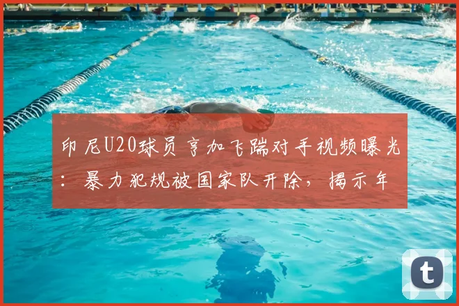 印尼U20球员亨加飞踹对手视频曝光：暴力犯规被国家队开除，揭示年轻球员纪律管理与赛事安全问题