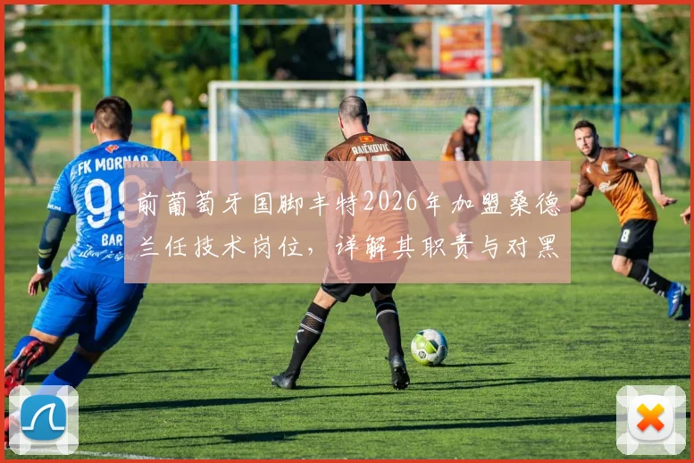 前葡萄牙国脚丰特2026年加盟桑德兰任技术岗位，详解其职责与对黑猫的影响